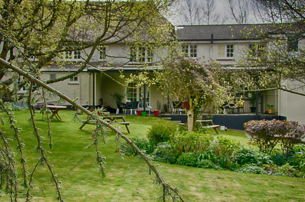 Tumbling Weir Hotel Ottery St Mary Екстер'єр фото