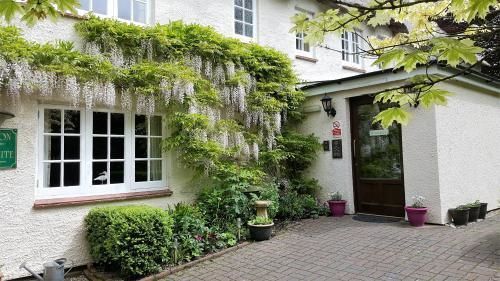 Tumbling Weir Hotel Ottery St Mary Екстер'єр фото